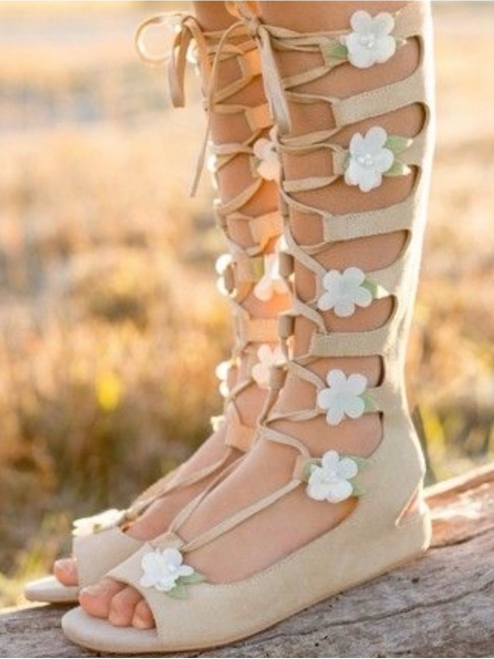 Joyfolie Tan Gladiator Sandals Seraphina In Sable Rose